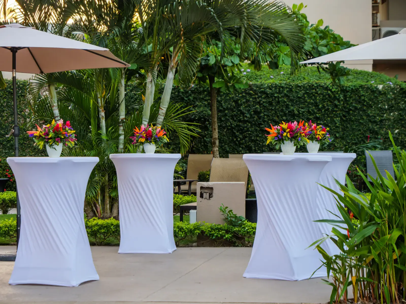 Evento Social
